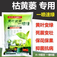 一噴綠微量元素水溶肥黃葉小葉卷葉?；ū９麡涫卟送ㄓ萌~面肥