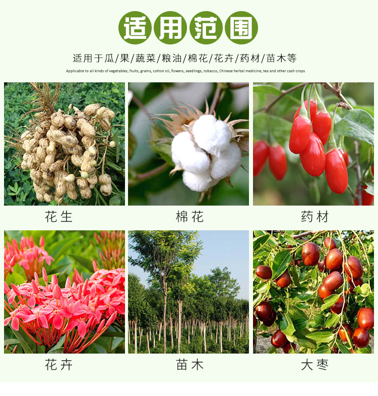 黃葉5