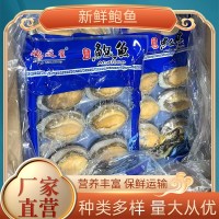 【鮑魚】廠家批發(fā)新鮮現(xiàn)撈冷凍大鮑魚水產(chǎn)海捕野生去內(nèi)臟海鮮鮑魚