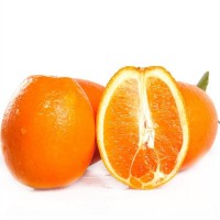 精品紐荷爾臍橙 原產(chǎn)地現(xiàn)摘現(xiàn)發(fā)橙子 水果 缺斤少兩包賠