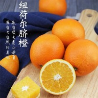 精品紐荷爾臍橙 現(xiàn)發(fā)當(dāng)季水果基地 現(xiàn)采現(xiàn)發(fā) 澄紅柑橘