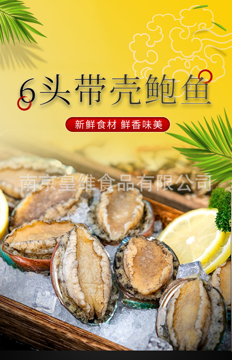 6頭帶殼鮑魚_01.jpg