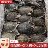 冷凍甲魚批發(fā) 小甲魚批發(fā) 麻辣甲魚五香甲魚鹵甲魚 鱉 王八下酒菜