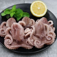 小章魚新鮮八爪魚活凍章魚產(chǎn)地廠家批發(fā)去內(nèi)臟麻辣八爪魚500克裝