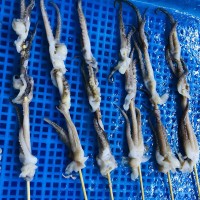 漁之郎 批發(fā)八爪魚(yú) 燒烤魷魚(yú)串魷魚(yú)須魷魚(yú)足串 鐵板燒魷魚(yú)爪35g