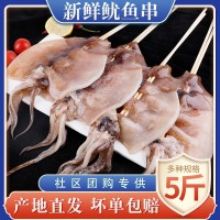 社區(qū)團(tuán)購(gòu)專供新鮮魷魚串冷凍水產(chǎn)大魷魚鮮活深海海鮮火鍋食材商用