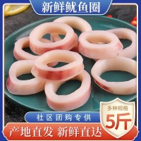 社區(qū)團(tuán)購(gòu)專供新鮮魷魚圈現(xiàn)切水產(chǎn)大魷魚冷凍批發(fā)八爪魚海捕特產(chǎn)品
