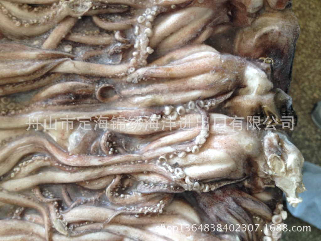 小小頭