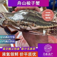 舟山鮮活凍螃蟹月岙流網(wǎng)蟹梭子蟹套袋扎蟹大白蟹公蟹母蟹海鮮批發(fā)