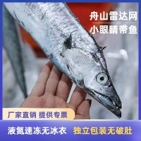 舟山東海雷達(dá)網(wǎng)帶魚(yú)眼睛新鮮液氮冷凍野生刀魚(yú)油帶魚(yú)包裝整箱批發(fā)