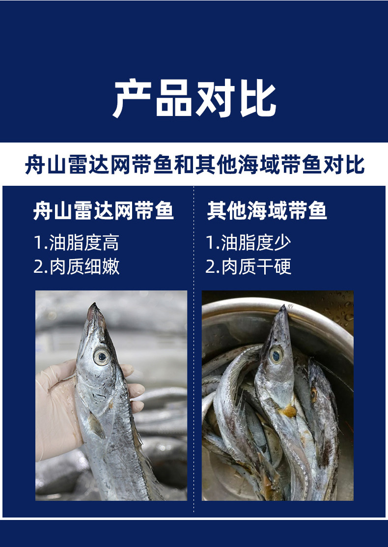 帶魚_03.jpg