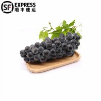 5斤順豐云南夏黑葡萄整串應季新鮮無籽葡萄現(xiàn)摘葡萄多汁水果整箱