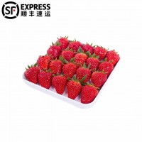 5斤順豐四季草莓水果新鮮酸草莓紅顏草莓批發(fā)商用蛋糕烘焙糖葫蘆