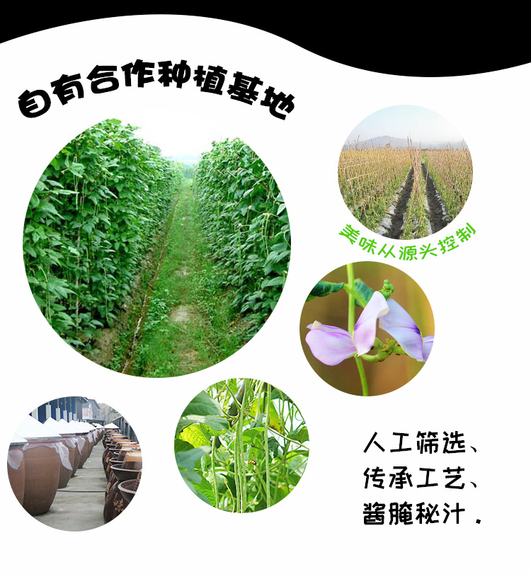 產(chǎn)品通用詳情模板-15g五香豆角---20191104_05