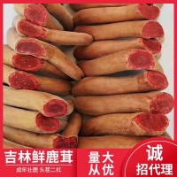 整支鮮鹿茸鹿鄉(xiāng)產(chǎn)地直供鮮鹿茸整只梅花鹿茸鮮鹿茸整枝二杠頭茬茸