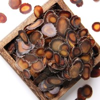 鹿茸片 吉林鹿鄉(xiāng)鹿茸臘片煲湯泡酒鹿茸全臘片鹿場(chǎng)直售整支鹿茸