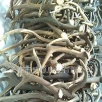 長春市慧源鹿業(yè)批發(fā)鹿角 馬鹿角 大貨供應(yīng) 鹿產(chǎn)品 貨源充足