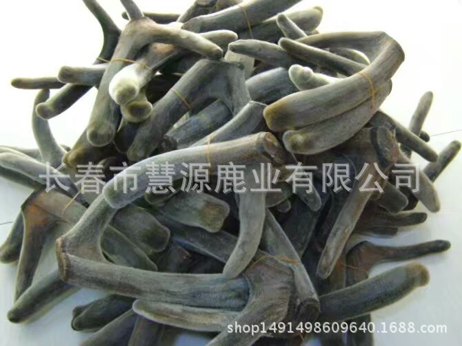 馬鹿茸 (8)