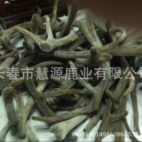 長春市慧源鹿業(yè)批發(fā)整枝馬鹿茸 二杠茸 三岔茸 投料茸 手續(xù)全