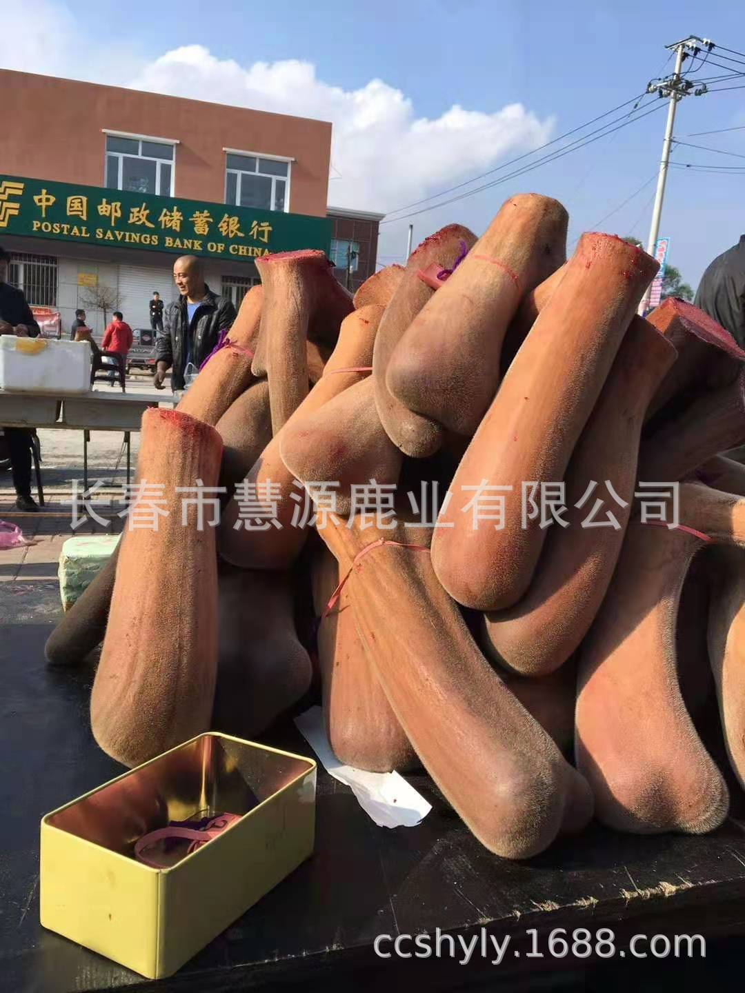 微信圖片_2020112114243360