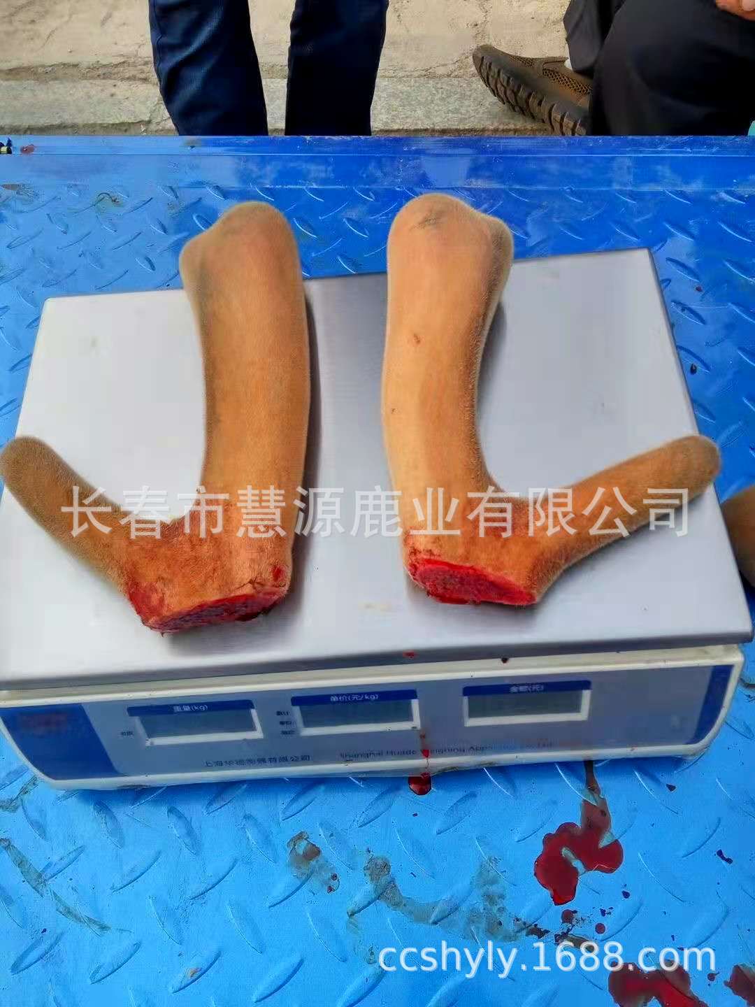 微信圖片_20201121141951