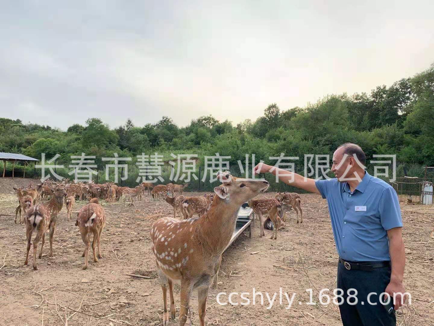 微信圖片_202012141015381