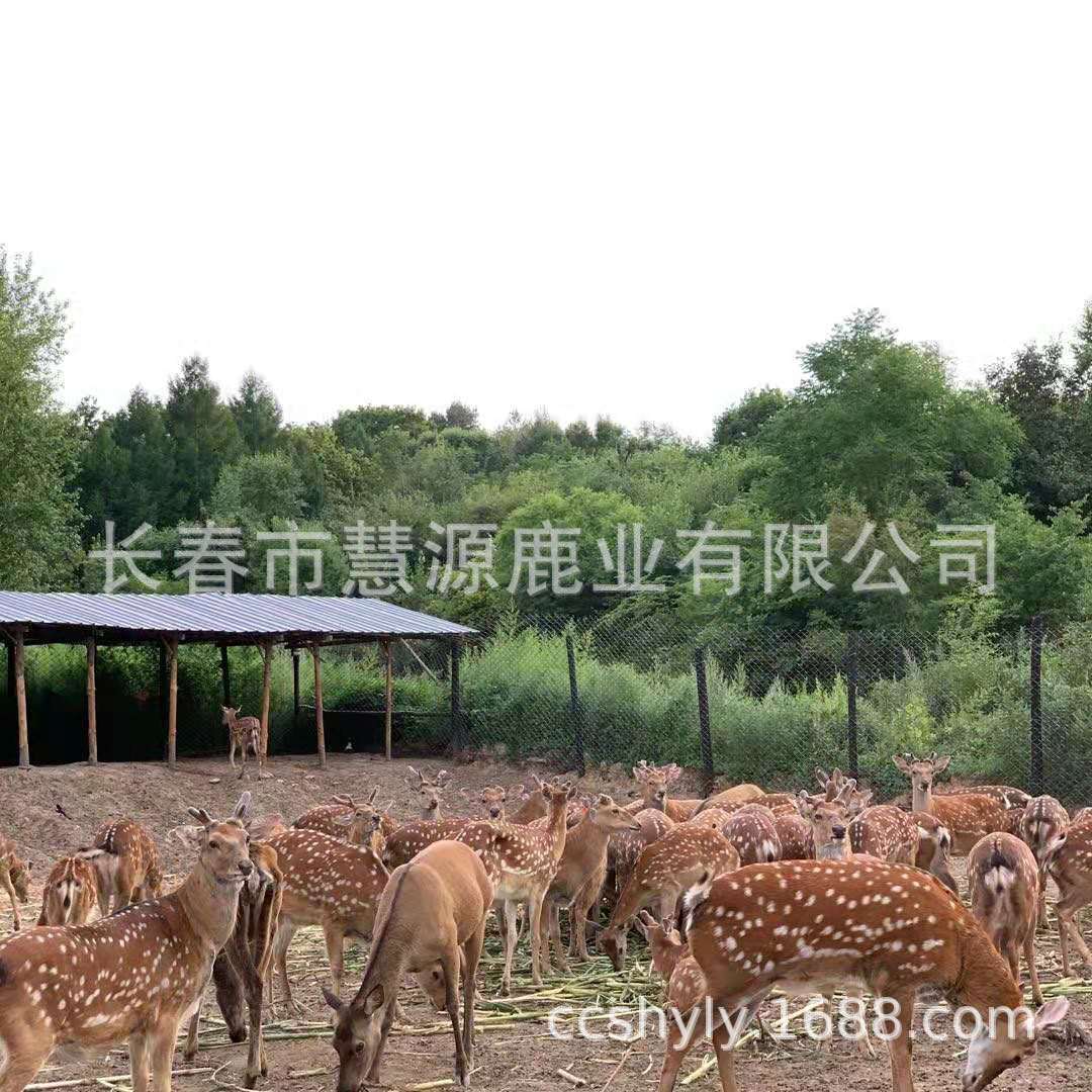 微信圖片_20201214101538