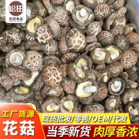 福建古田家食用菌花 散裝500g特選小香菇椴木蘑菇干花菇源頭廠家