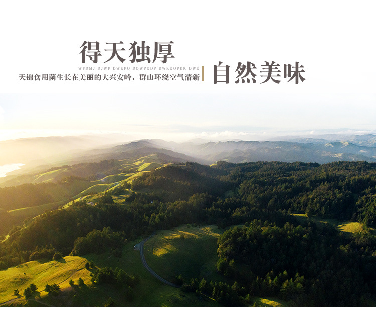 山水-有機(jī)秋木耳_07.jpg