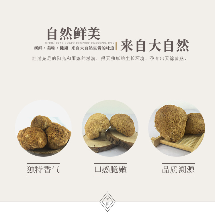 山水系列-猴頭菇_02.jpg