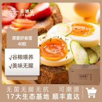 圣迪樂村山春牧場40枚好食蛋 無腥味無菌蛋無抗無菌新鮮雞蛋順豐