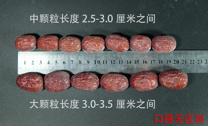 大中顆粒對(duì)比圖.jpg
