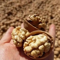 今年新貨薄如紙皮核桃實惠散裝生原味阿克蘇185仁白孕婦成人