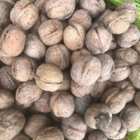 新疆特產(chǎn)批發(fā)185紙皮核桃 晾曬無(wú)漂白原味核桃干果原料薄皮核桃