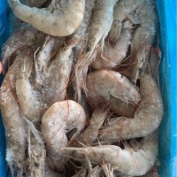 5060南美白對蝦，鹽田大蝦，凍蝦