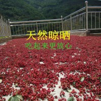新貨花椒甘肅隴南大紅袍花椒500g火鍋餐飲調(diào)味品散裝武都產(chǎn)地直銷