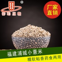 廠家薏米大量批發(fā)糯性福建薏米仁精選浦城薏米產(chǎn)地貨源新貨