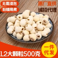 產(chǎn)地貨源憶蓮堂大顆去芯磨皮白蓮子500g真空包裝湘潭蓮子干貨批發(fā)