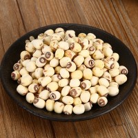 蓮子干帶芯小白蓮泰國白蓮子散裝熬粥煲湯廠家直銷500g白蓮子批發(fā)