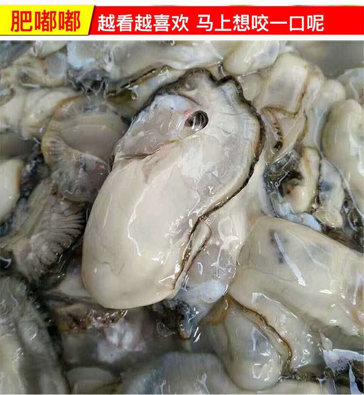 未標(biāo)題-1_04