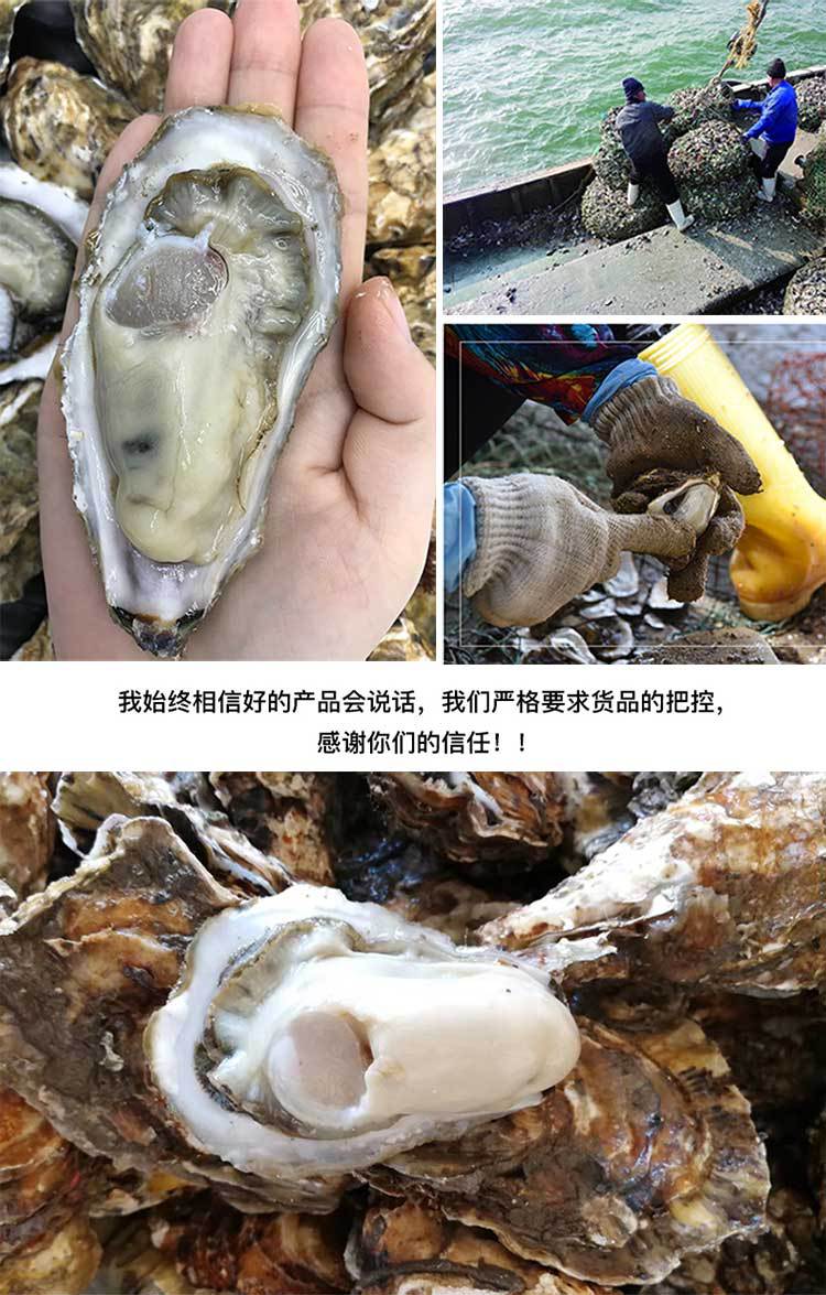 未標(biāo)題-1_02