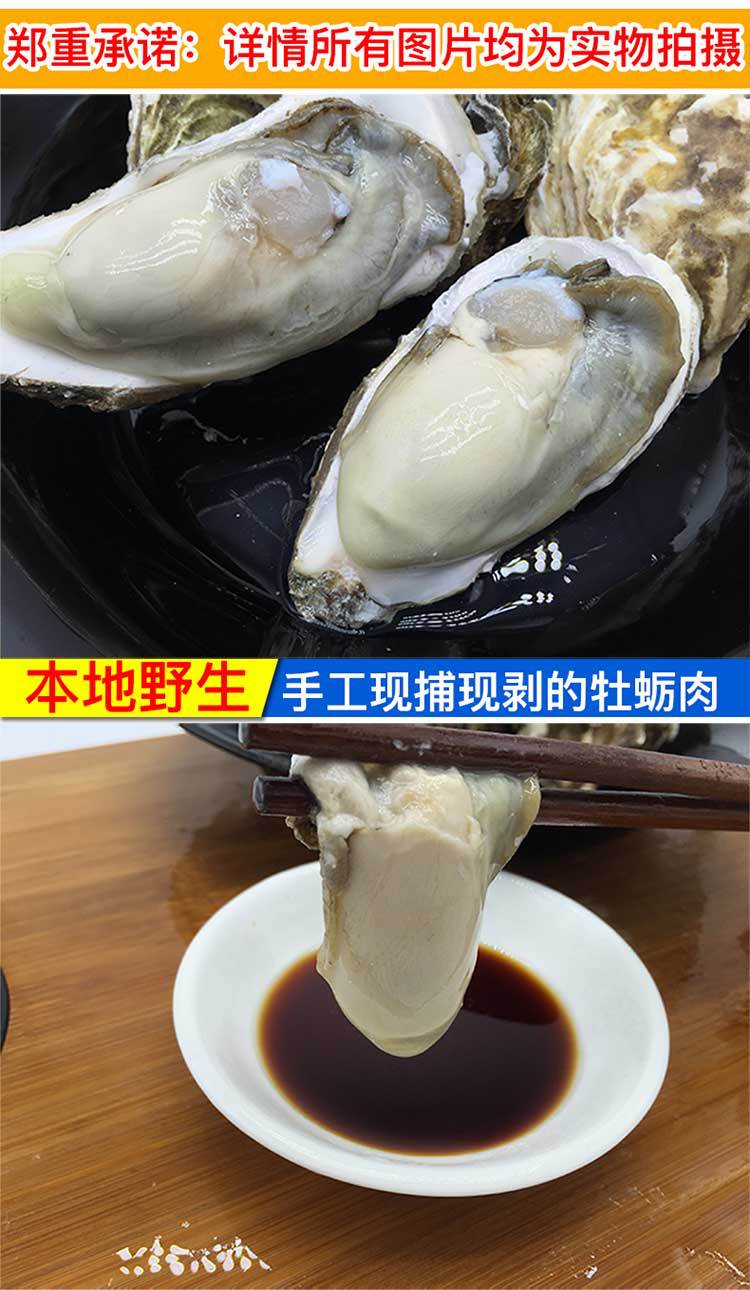 未標(biāo)題-1_03
