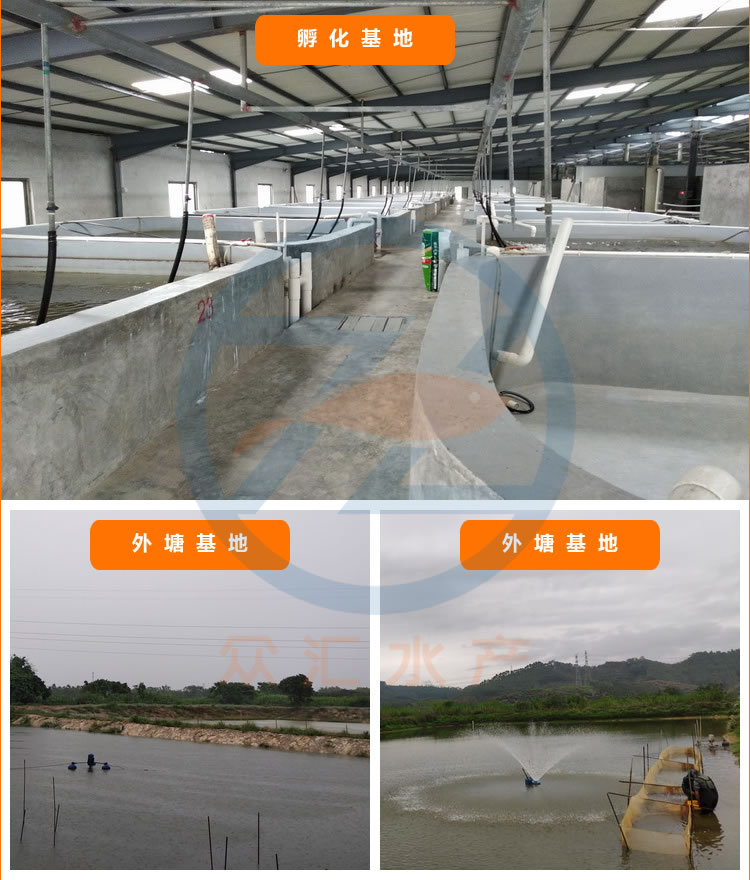 基地實拍.jpg