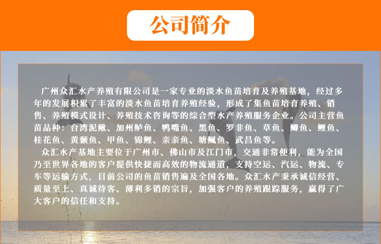 公司簡介.jpg