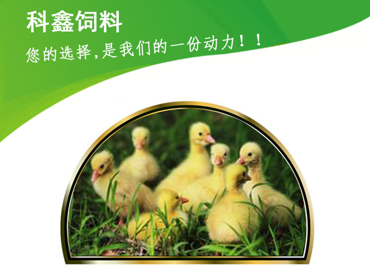 610肉鵝.jpg