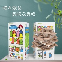 平菇菌包菌種食用袋裝菌蘑菇種植菌包陽臺趣味盒裝diy兒童禮物