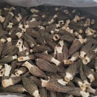 田源 閩蘑頭 羊肚菌干貨產(chǎn)地源頭直供 供應酒店食材 一斤包郵