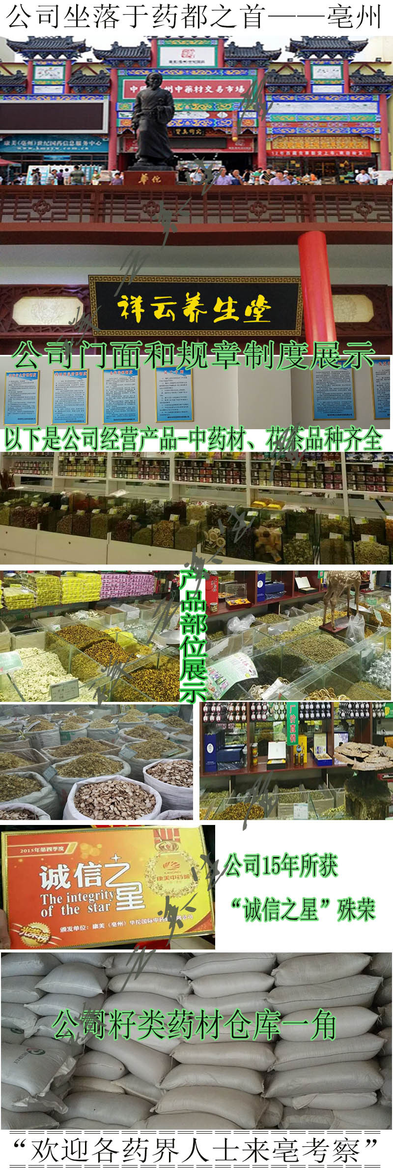 公司概況
