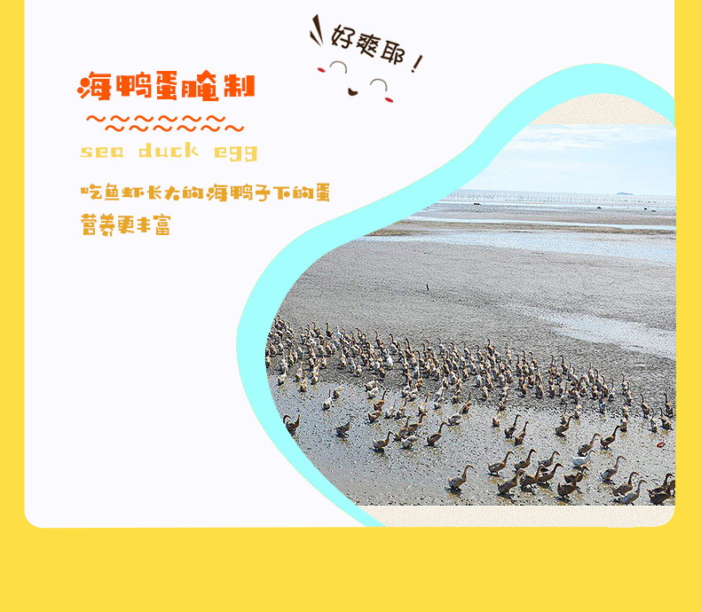 海鴨蛋3_05.jpg