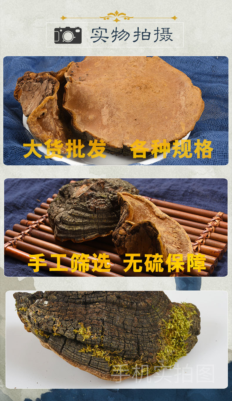 天音閣桑黃_09.jpg